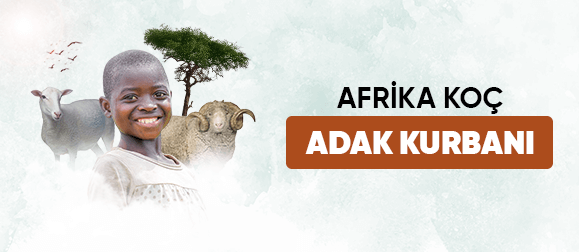 Afrika koç adak kurbanı
