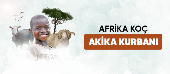 Afrika koç akika kurbanı
