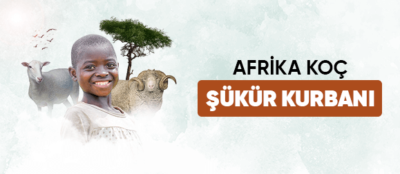 Afrika koç şükür kurbanı