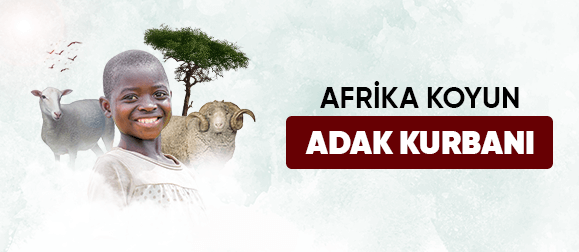 Afrika koyun adak kurbanı