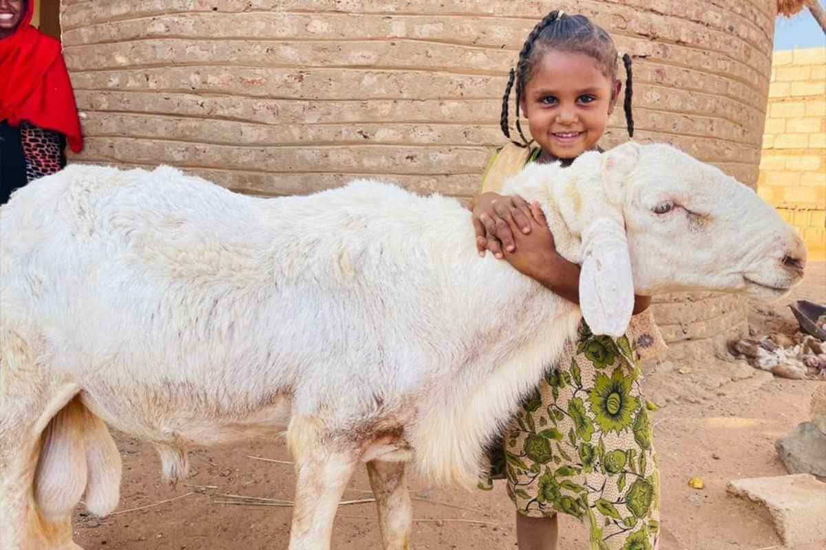 Kurban Bağışı Kampanyamız: Siz de Bir Hayata Dokunun