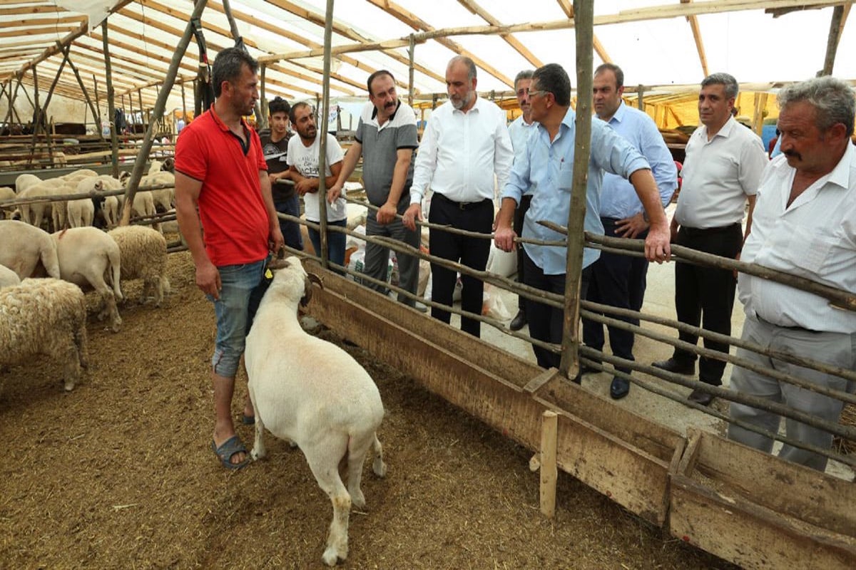 Kurban İbadeti Nedir?