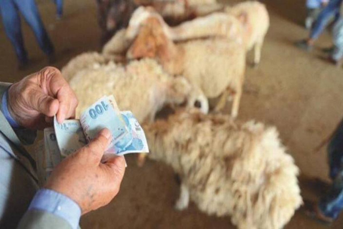 Kurban İbadeti Nedir?